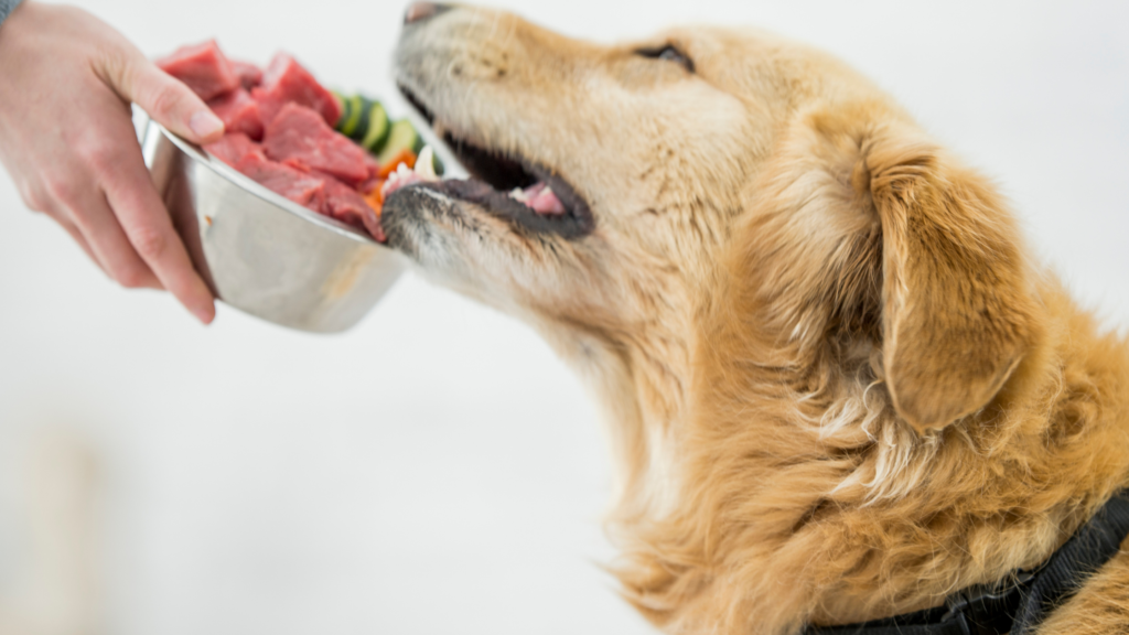 Benefits Of Cooked Meat For Dogs