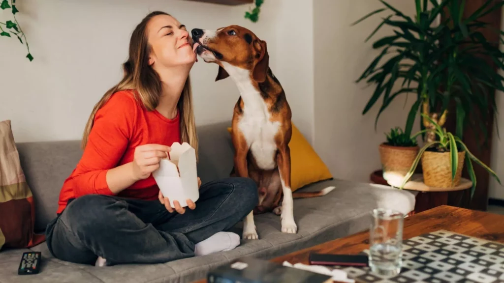 Essential Factors In Dog Eating Habits