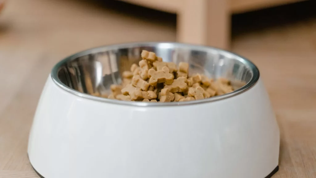 Tips For Knowing What's Safe To Feed Your Dog