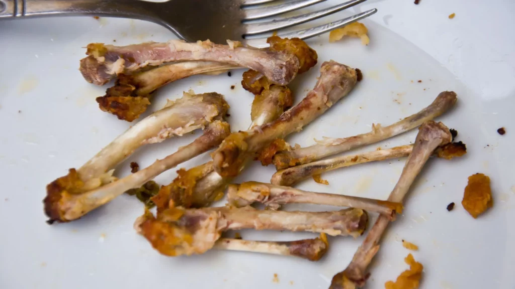 Why are Chicken Bones Dangerous for Dogs?