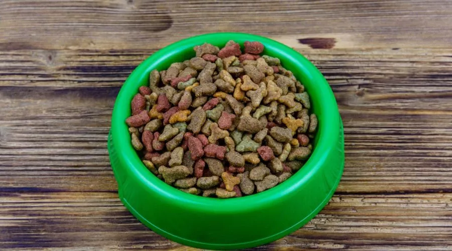 How long can dry dog food sit out before going bad?