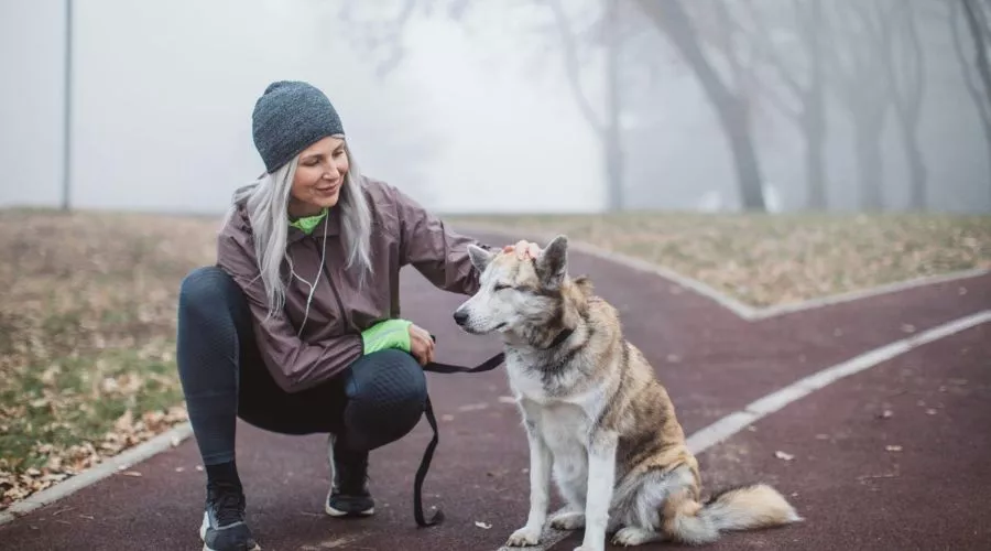 How to gradually increase the intensity of your dog's exercise
