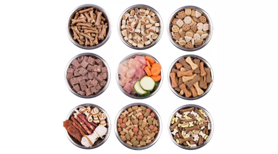 Types of dog food for allergies