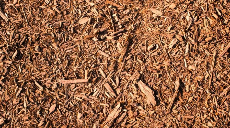 What kind of mulch is safe for dogs